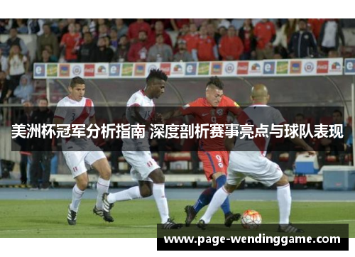 美洲杯冠军分析指南 深度剖析赛事亮点与球队表现