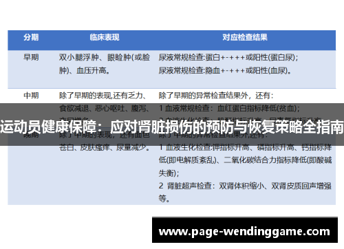 运动员健康保障：应对肾脏损伤的预防与恢复策略全指南