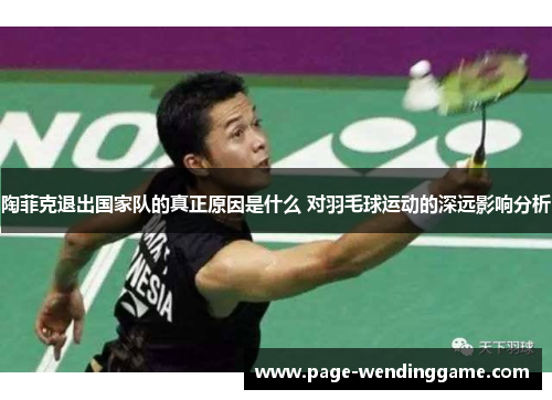 陶菲克退出国家队的真正原因是什么 对羽毛球运动的深远影响分析