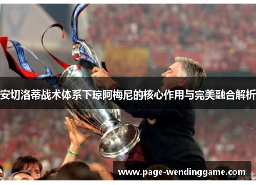 安切洛蒂战术体系下琼阿梅尼的核心作用与完美融合解析